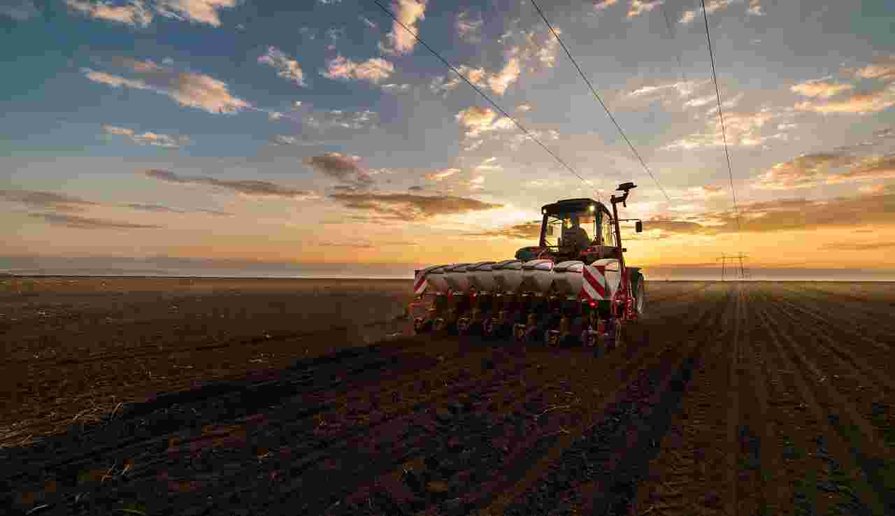 Planter Adobe Stock 143893182