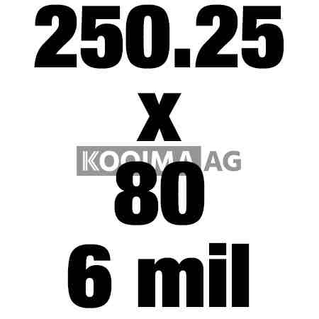 250 25x80 6mil