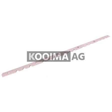K47744044 Lower Front Tooth