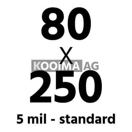 5 Mil Standard 80x250